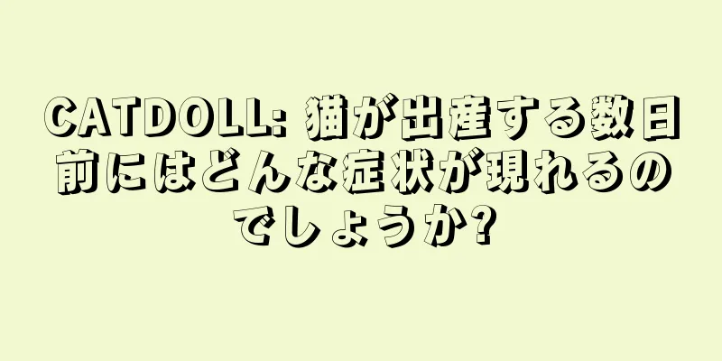 CATDOLL: 猫が出産する数日前にはどんな症状が現れるのでしょうか?