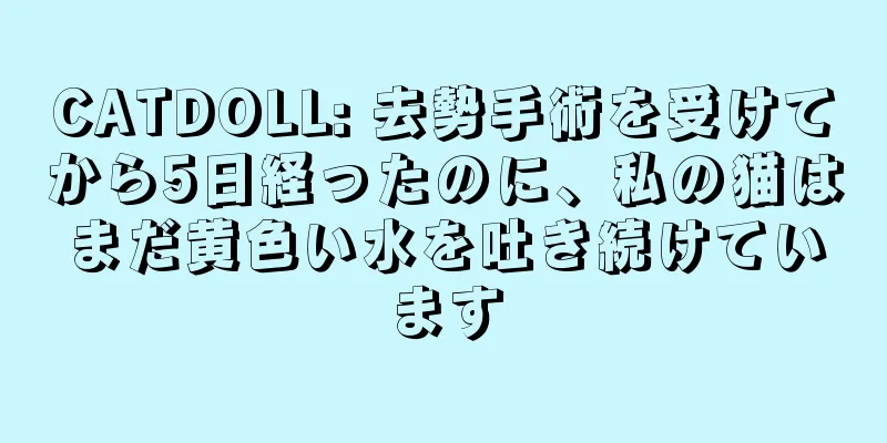 CATDOLL: 去勢手術を受けてから5日経ったのに、私の猫はまだ黄色い水を吐き続けています