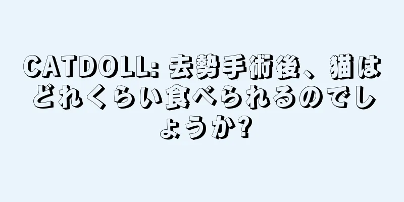 CATDOLL: 去勢手術後、猫はどれくらい食べられるのでしょうか?
