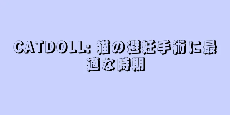 CATDOLL: 猫の避妊手術に最適な時期