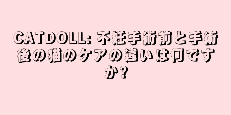 CATDOLL: 不妊手術前と手術後の猫のケアの違いは何ですか?