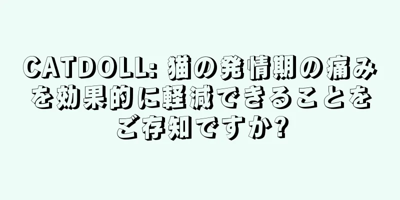 CATDOLL: 猫の発情期の痛みを効果的に軽減できることをご存知ですか?