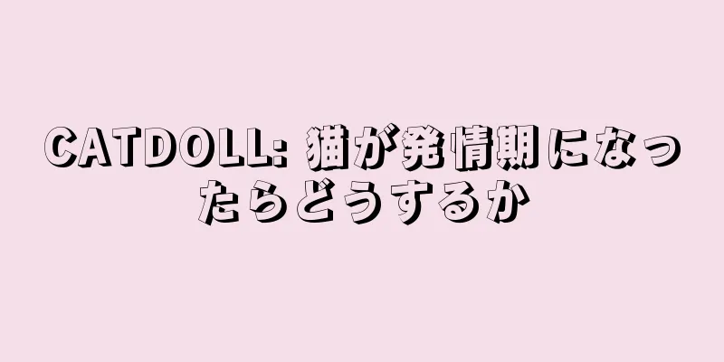 CATDOLL: 猫が発情期になったらどうするか