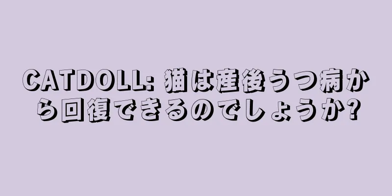 CATDOLL: 猫は産後うつ病から回復できるのでしょうか?
