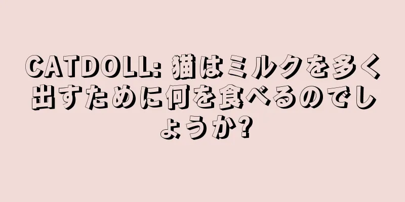 CATDOLL: 猫はミルクを多く出すために何を食べるのでしょうか?