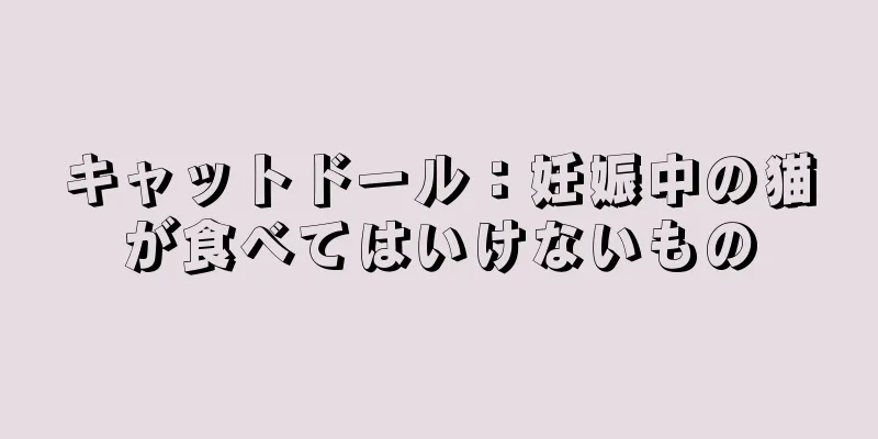 キャットドール：妊娠中の猫が食べてはいけないもの