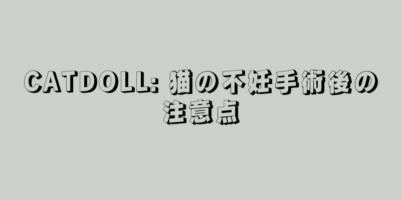 CATDOLL: 猫の不妊手術後の注意点