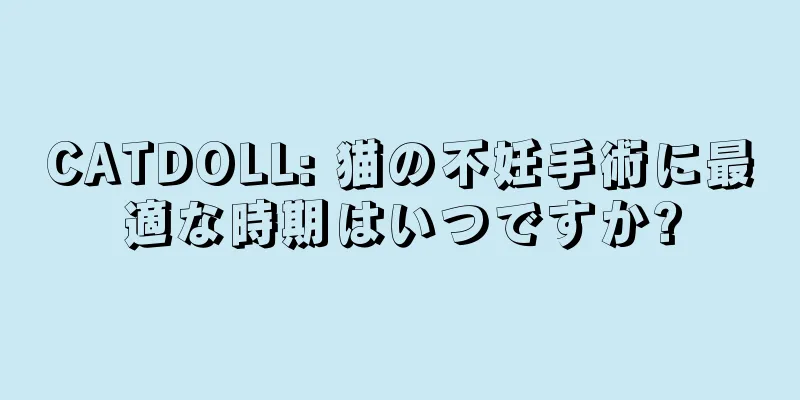 CATDOLL: 猫の不妊手術に最適な時期はいつですか?