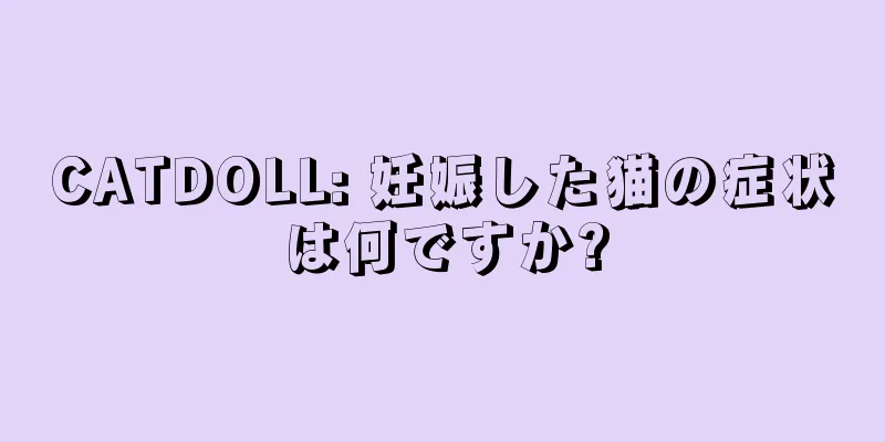 CATDOLL: 妊娠した猫の症状は何ですか?