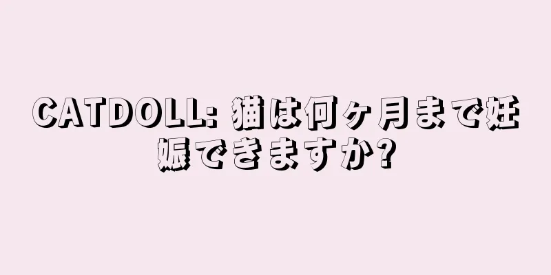 CATDOLL: 猫は何ヶ月まで妊娠できますか?