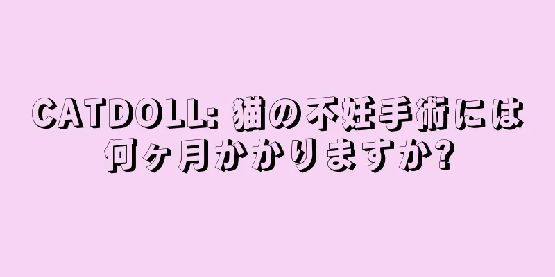 CATDOLL: 猫の不妊手術には何ヶ月かかりますか?