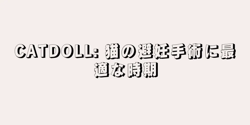 CATDOLL: 猫の避妊手術に最適な時期