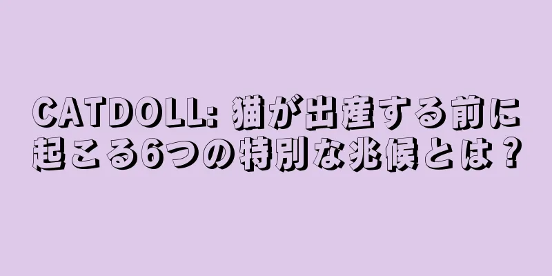 CATDOLL: 猫が出産する前に起こる6つの特別な兆候とは？