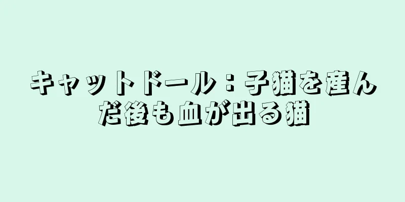 キャットドール：子猫を産んだ後も血が出る猫
