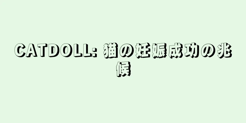 CATDOLL: 猫の妊娠成功の兆候