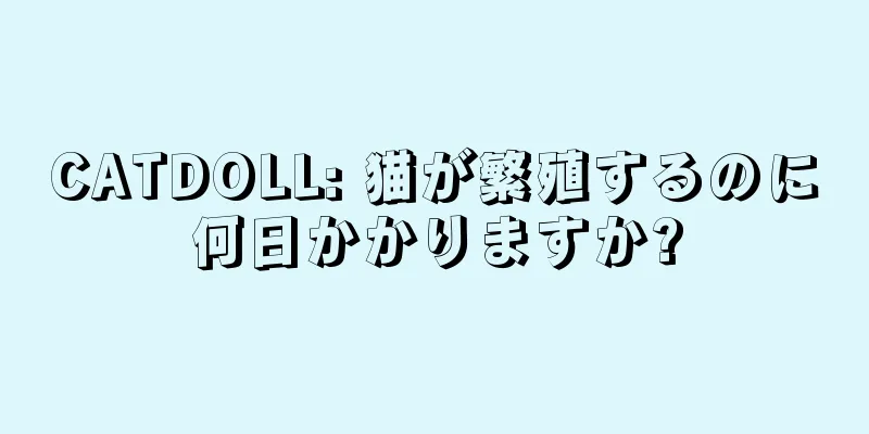 CATDOLL: 猫が繁殖するのに何日かかりますか?