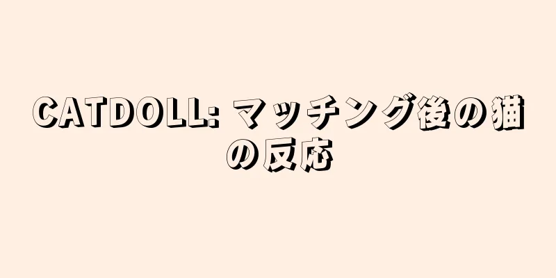 CATDOLL: マッチング後の猫の反応