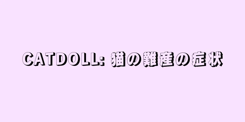 CATDOLL: 猫の難産の症状