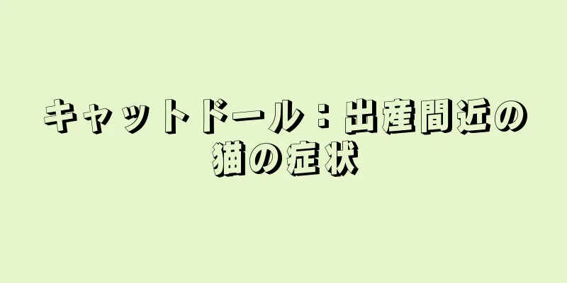 キャットドール：出産間近の猫の症状