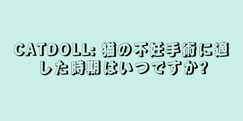 CATDOLL: 猫の不妊手術に適した時期はいつですか?