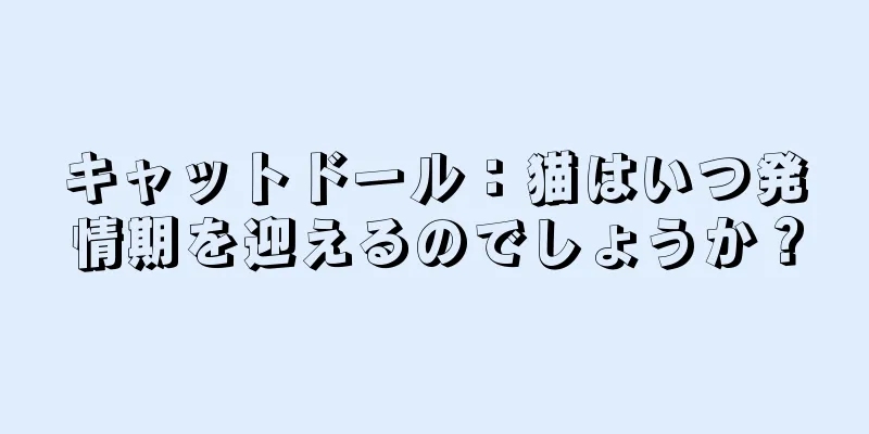 キャットドール：猫はいつ発情期を迎えるのでしょうか？
