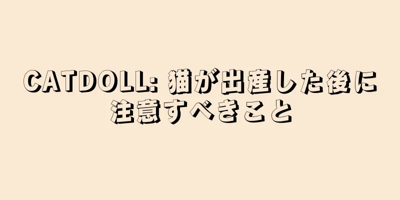 CATDOLL: 猫が出産した後に注意すべきこと
