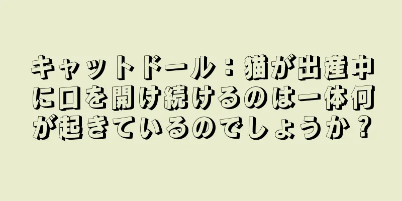 キャットドール：猫が出産中に口を開け続けるのは一体何が起きているのでしょうか？