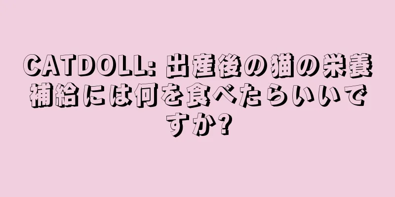 CATDOLL: 出産後の猫の栄養補給には何を食べたらいいですか?
