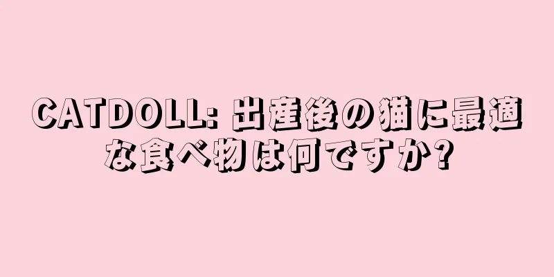 CATDOLL: 出産後の猫に最適な食べ物は何ですか?