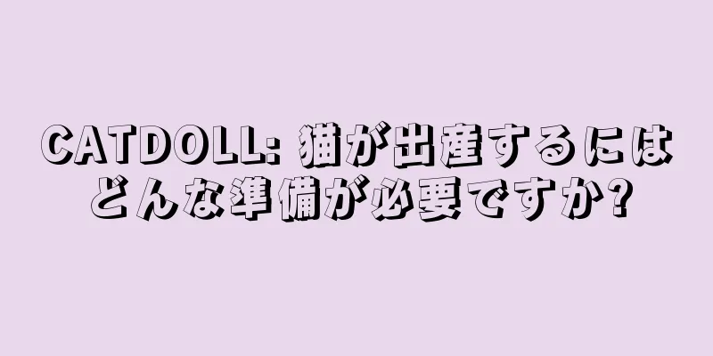 CATDOLL: 猫が出産するにはどんな準備が必要ですか?