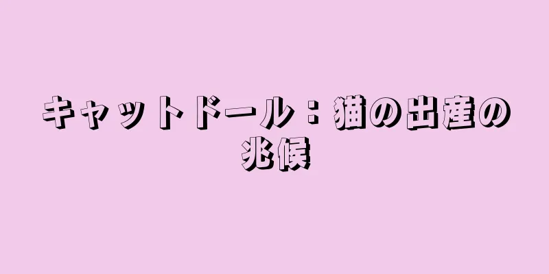 キャットドール：猫の出産の兆候