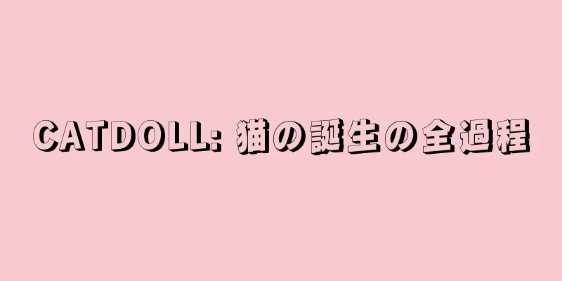 CATDOLL: 猫の誕生の全過程