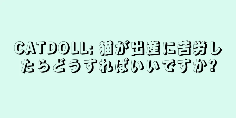 CATDOLL: 猫が出産に苦労したらどうすればいいですか?