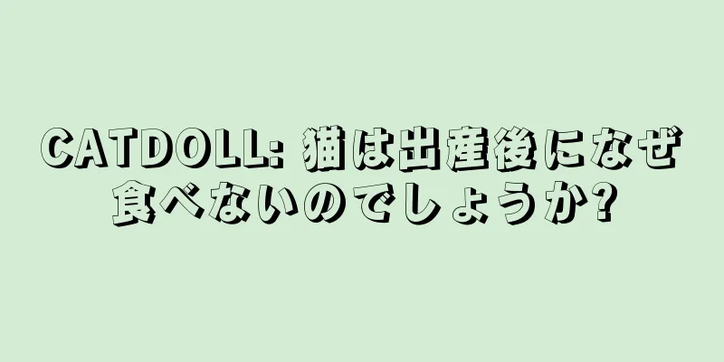 CATDOLL: 猫は出産後になぜ食べないのでしょうか?