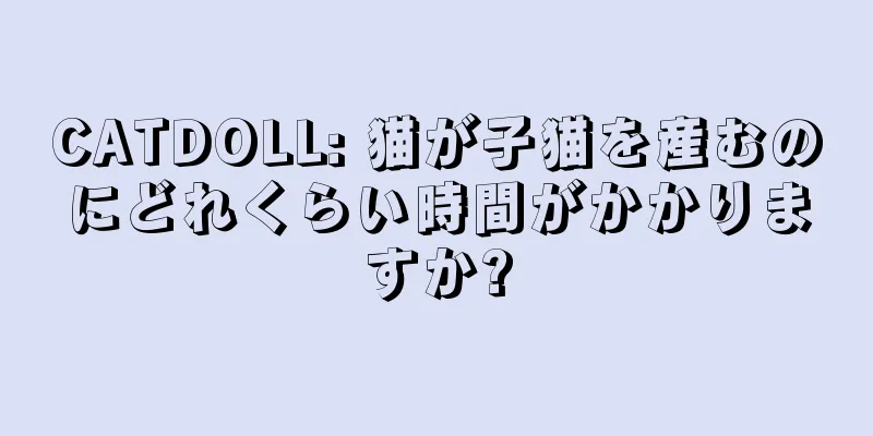 CATDOLL: 猫が子猫を産むのにどれくらい時間がかかりますか?