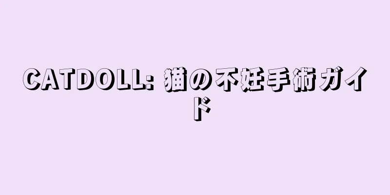 CATDOLL: 猫の不妊手術ガイド