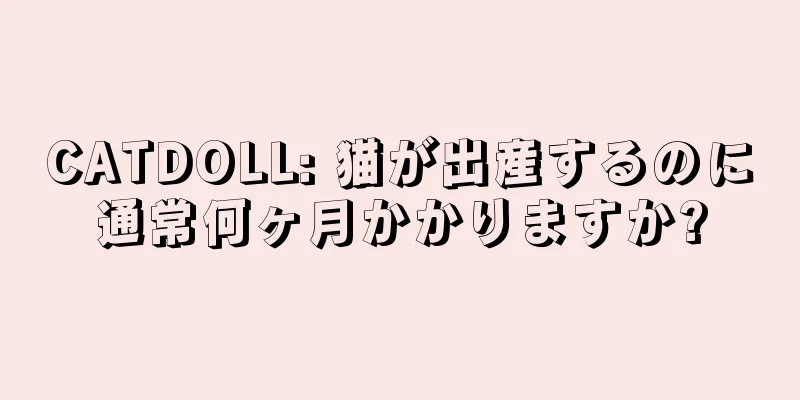 CATDOLL: 猫が出産するのに通常何ヶ月かかりますか?