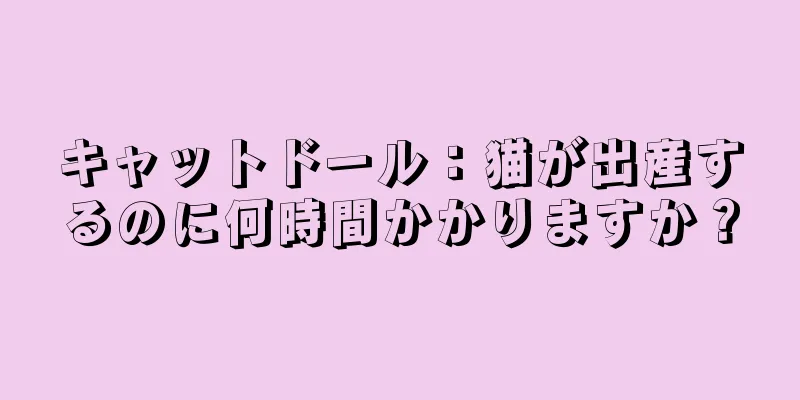 キャットドール：猫が出産するのに何時間かかりますか？