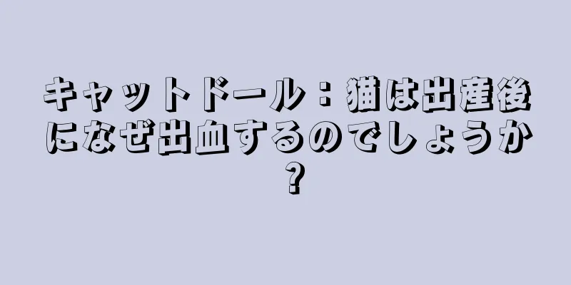 キャットドール：猫は出産後になぜ出血するのでしょうか？