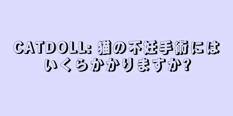 CATDOLL: 猫の不妊手術にはいくらかかりますか?