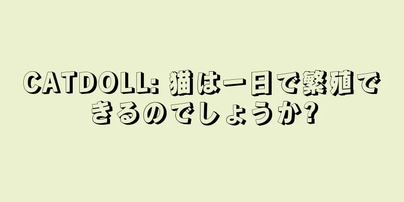 CATDOLL: 猫は一日で繁殖できるのでしょうか?