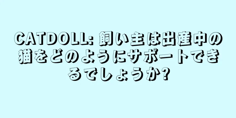CATDOLL: 飼い主は出産中の猫をどのようにサポートできるでしょうか?