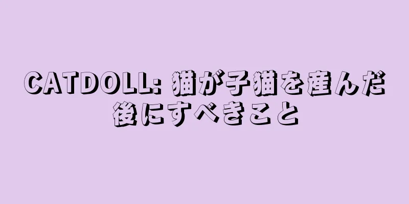 CATDOLL: 猫が子猫を産んだ後にすべきこと