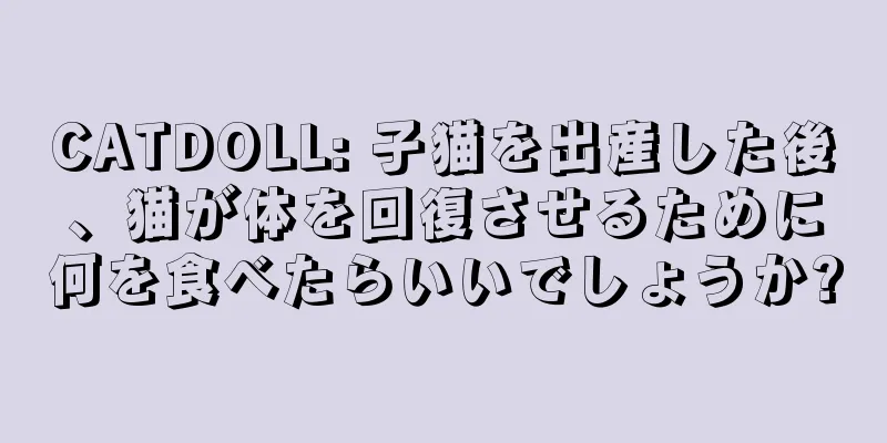 CATDOLL: 子猫を出産した後、猫が体を回復させるために何を食べたらいいでしょうか?
