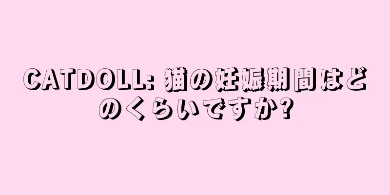 CATDOLL: 猫の妊娠期間はどのくらいですか?