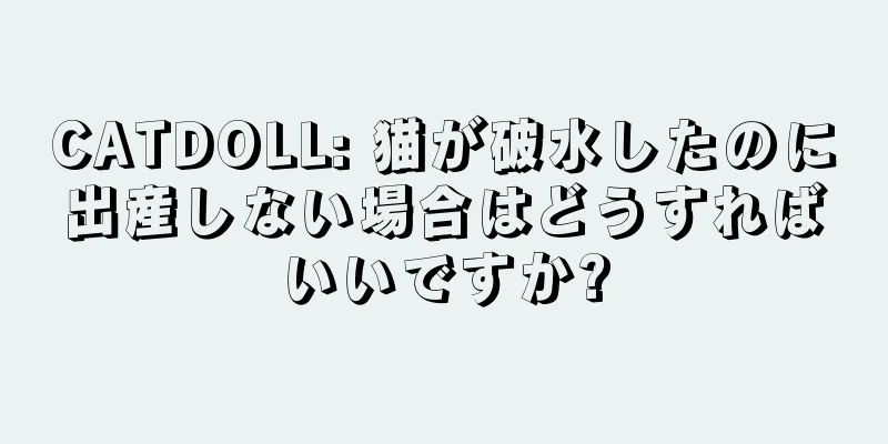 CATDOLL: 猫が破水したのに出産しない場合はどうすればいいですか?