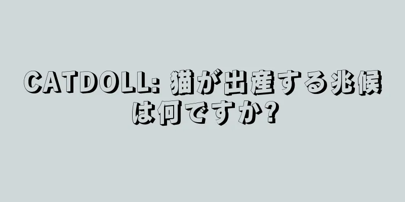 CATDOLL: 猫が出産する兆候は何ですか?
