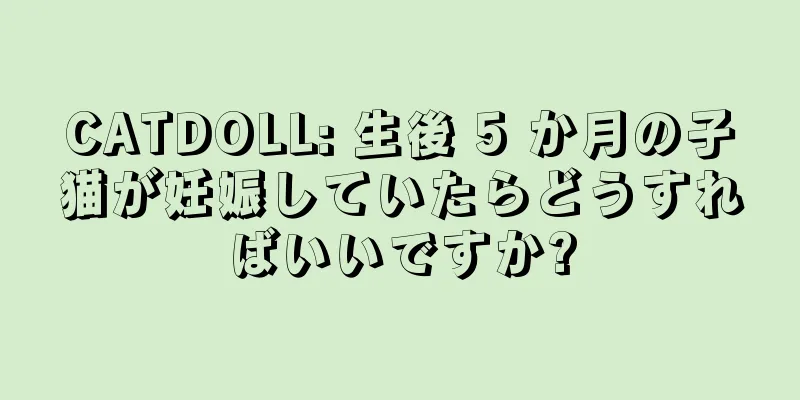 CATDOLL: 生後 5 か月の子猫が妊娠していたらどうすればいいですか?
