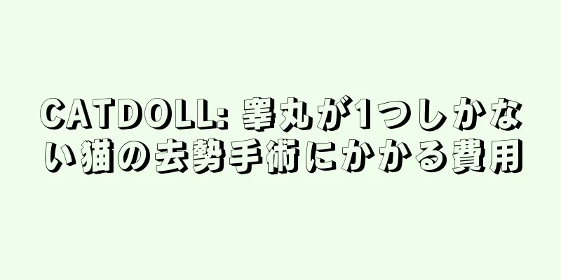 CATDOLL: 睾丸が1つしかない猫の去勢手術にかかる費用