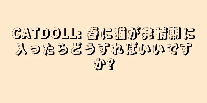 CATDOLL: 春に猫が発情期に入ったらどうすればいいですか?